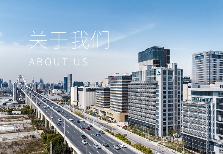 关于J9国际集团 